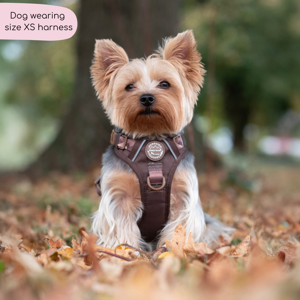 Tough Trails™ Harness - Walkies Ready® Chocolate Brown