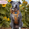 Tough Trails™ Harness - Celestial Spirit
