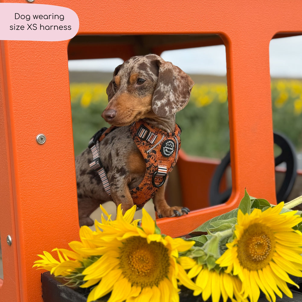 Disney© Tough Trails™ Harness - Halloween
