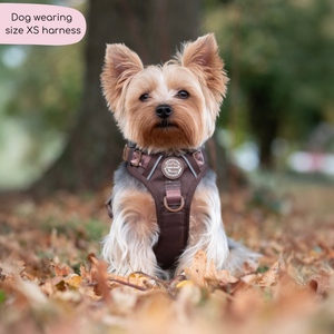 Tough Trails™ Harness - Walkies Ready® Chocolate Brown
