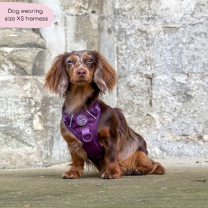 Tough Trails™ Harness - Walkies Ready® Plum