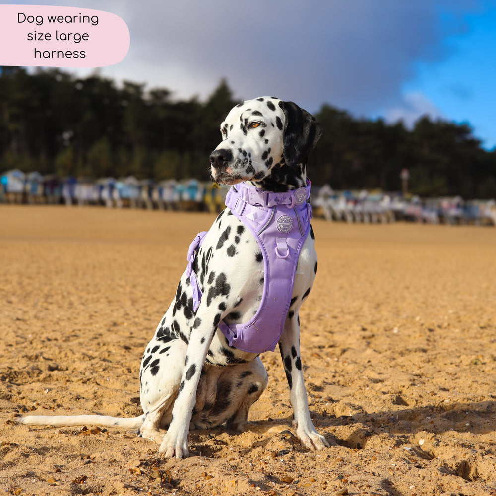 Tough Trails™ Harness - Walkies Ready® Lavender Lilac