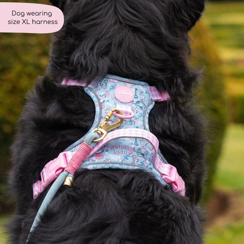 Disney© Tough Trails™ Harness - Mad Hatters Tea Party