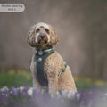 Tough Trails™ Harness - Walkies Ready® Forest Green
