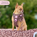 Tough Trails™ Harness -  Leopard Print