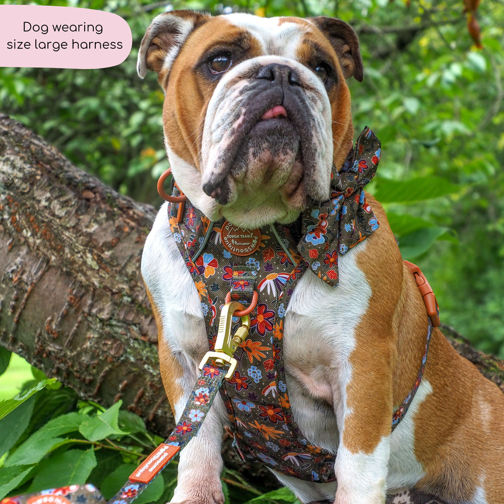 Tough Trails™ Harness - Rust & Bloom