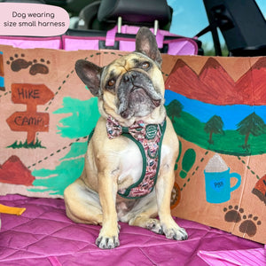 Tough Trails™ Harness -  Adventure Awaits