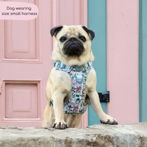 Disney© Tough Trails™ Harness - Stitch's Slumber Party