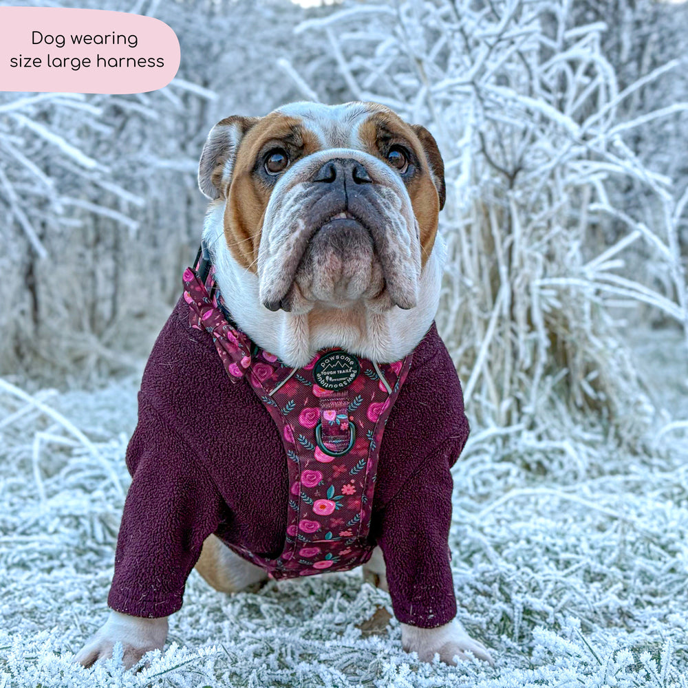 Tough Trails™ Harness - Mable's Meadow