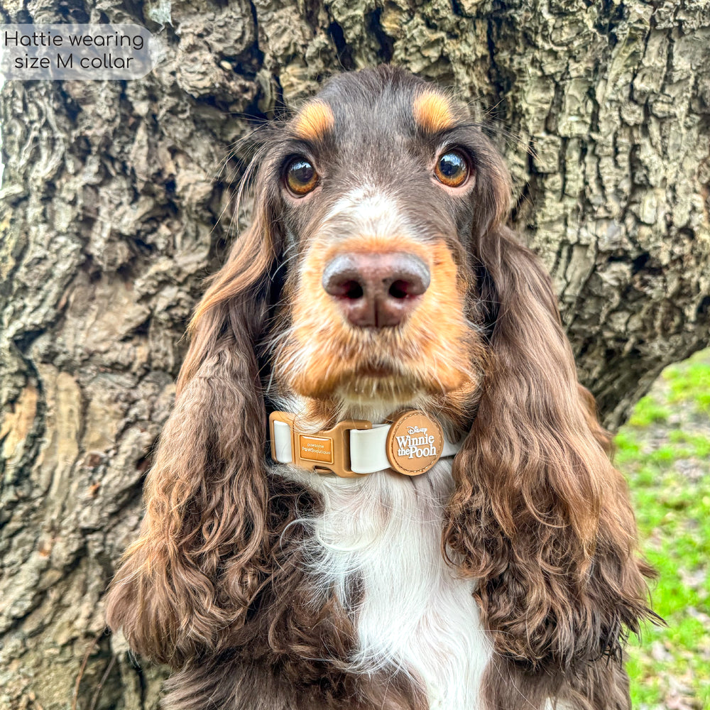 Disney© Waterproof Collar - Winnie The Pooh