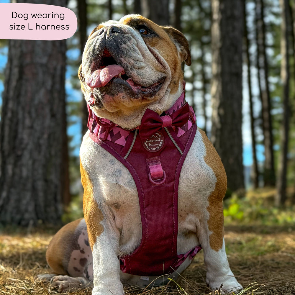 Tough Trails™ Harness - Walkies Ready® Mulberry