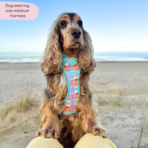 Tough Trails™ Harness - Spongebob