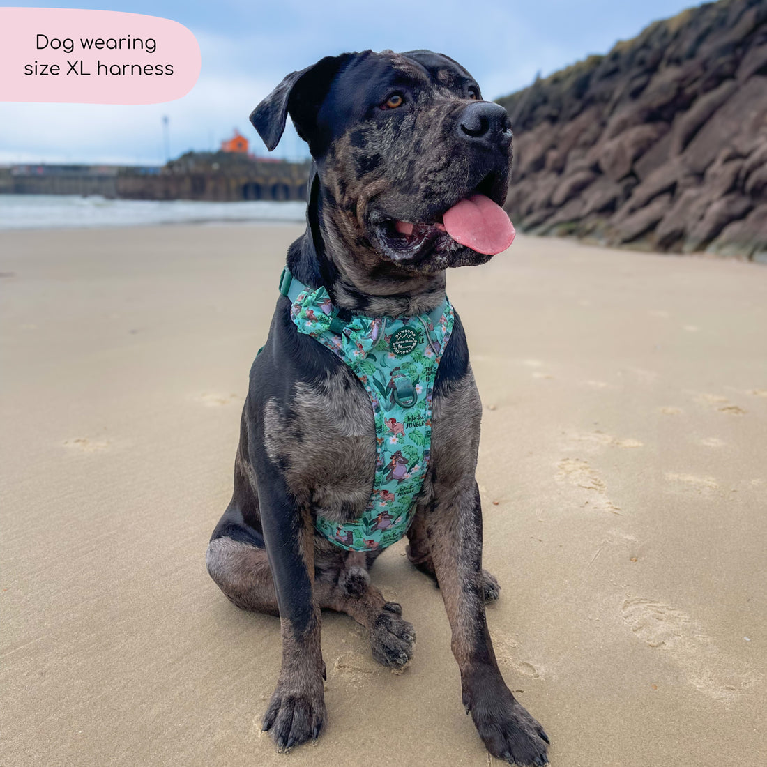 Disney© Tough Trails™ Harness - Jungle Book