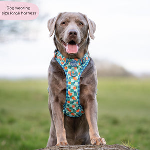 Tough Trails™ Harness -  Fruit Punch