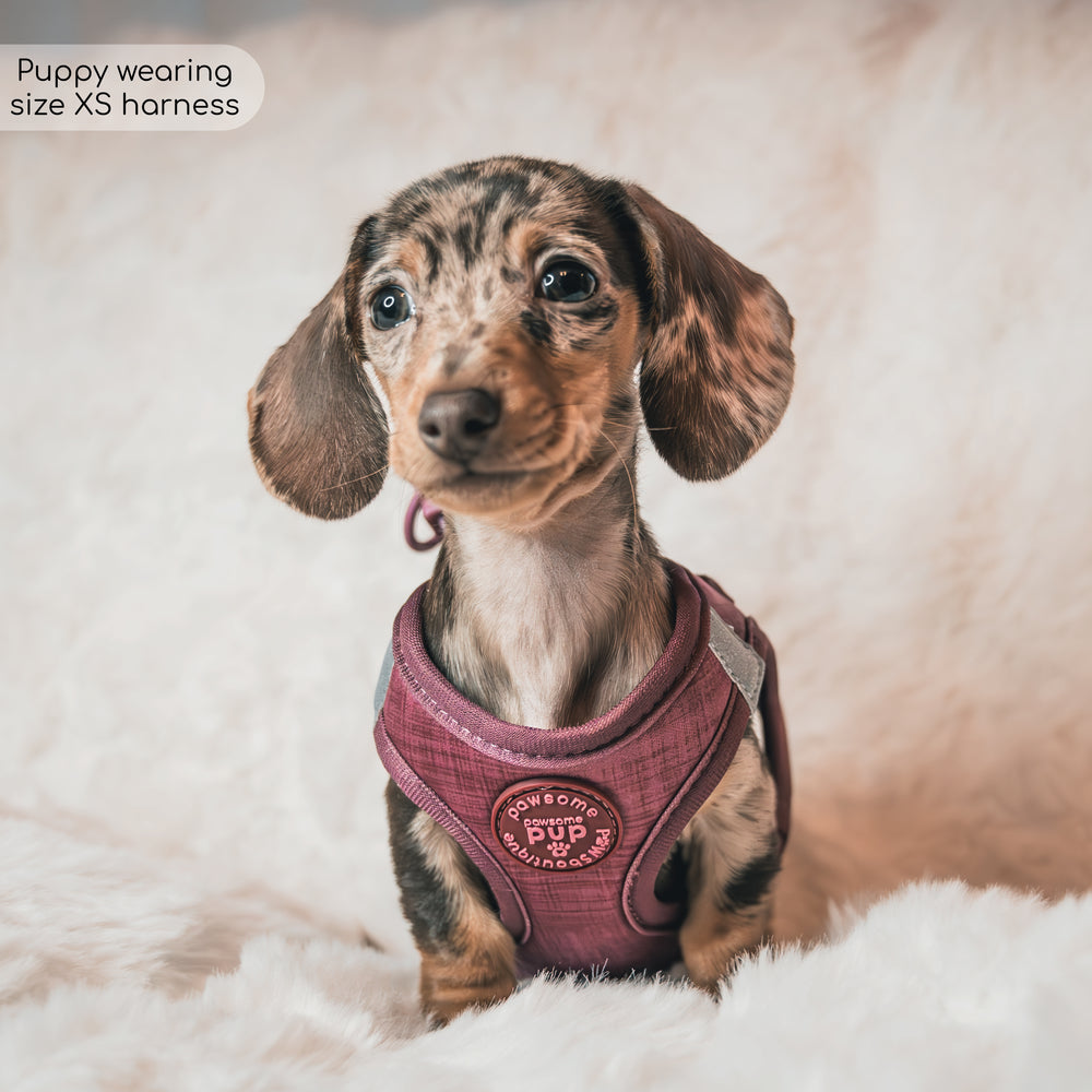 Pawsome Pup Harness - Burgundy