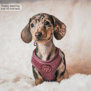 Pawsome Pup Harness - Burgundy