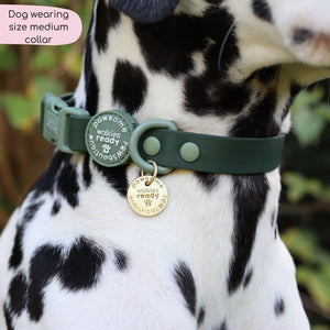 Waterproof Collar - Walkies Ready® Forest Green