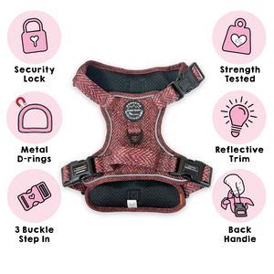 Tough Trails™ Harness - Country Burgundy