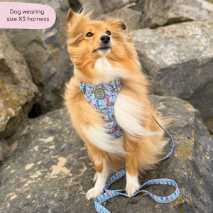 Tough Trails™ Harness -  Sandy Shores