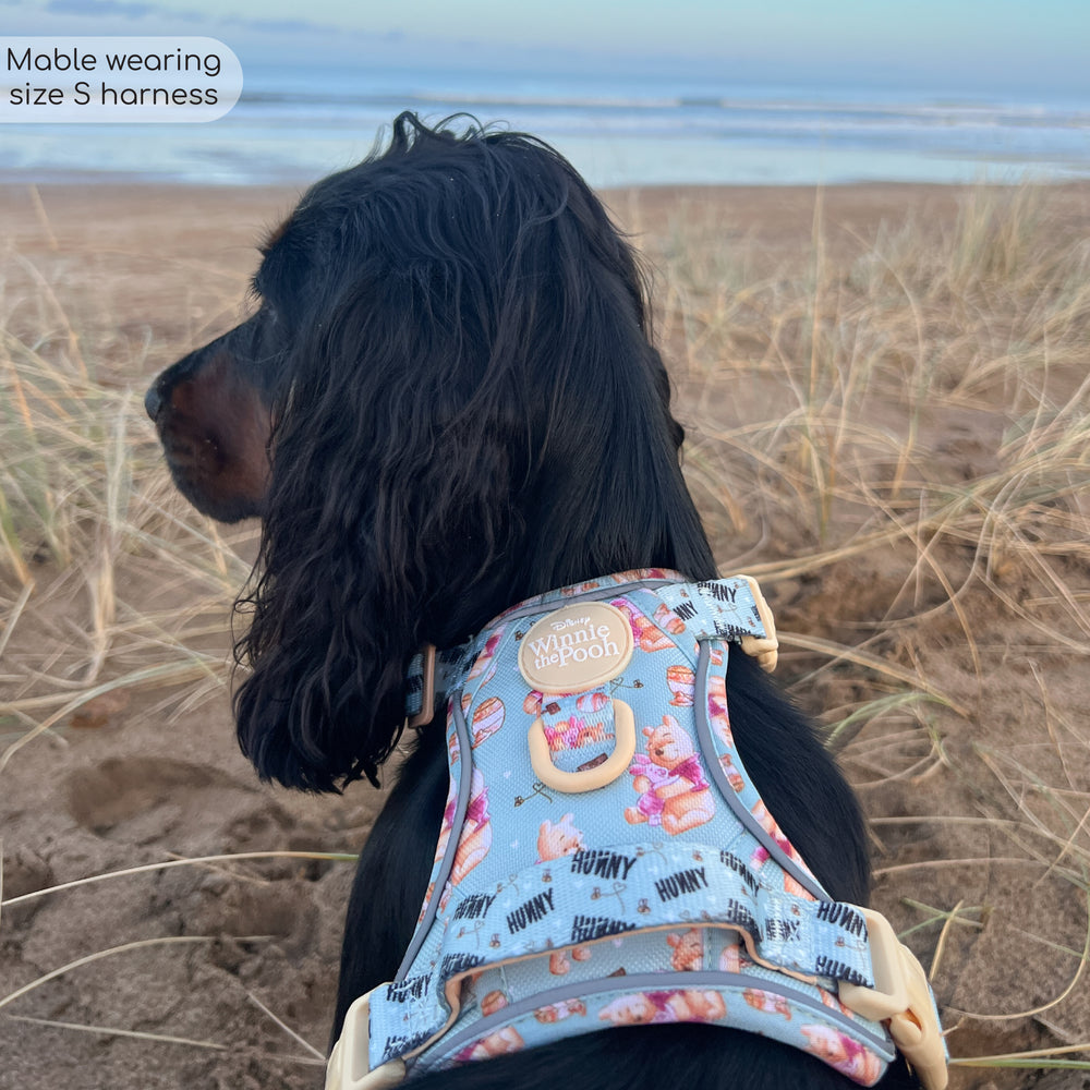 Disney© Tough Trails™ Harness - Winnie The Pooh
