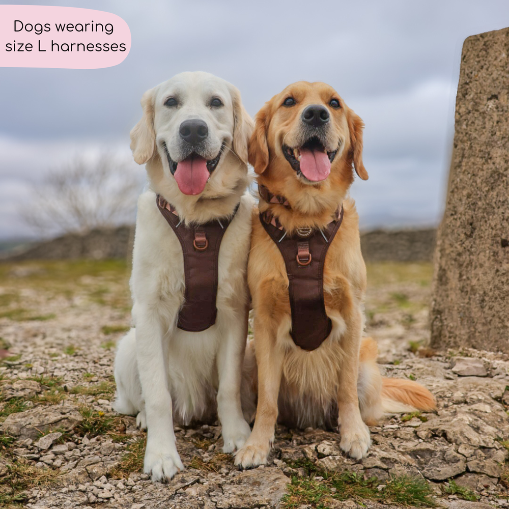 Tough Trails™ Harness - Walkies Ready® Chocolate Brown