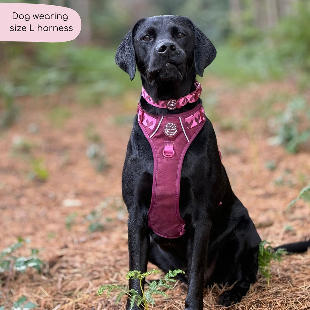 Tough Trails™ Harness - Walkies Ready® Mulberry