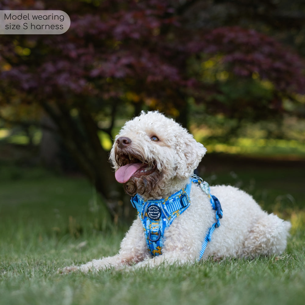 Disney© Tough Trails™ Harness - Simba