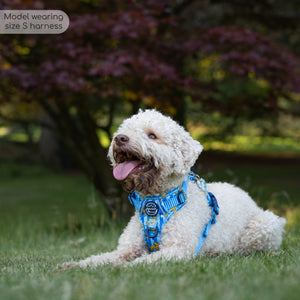 Disney© Tough Trails™ Harness - Simba