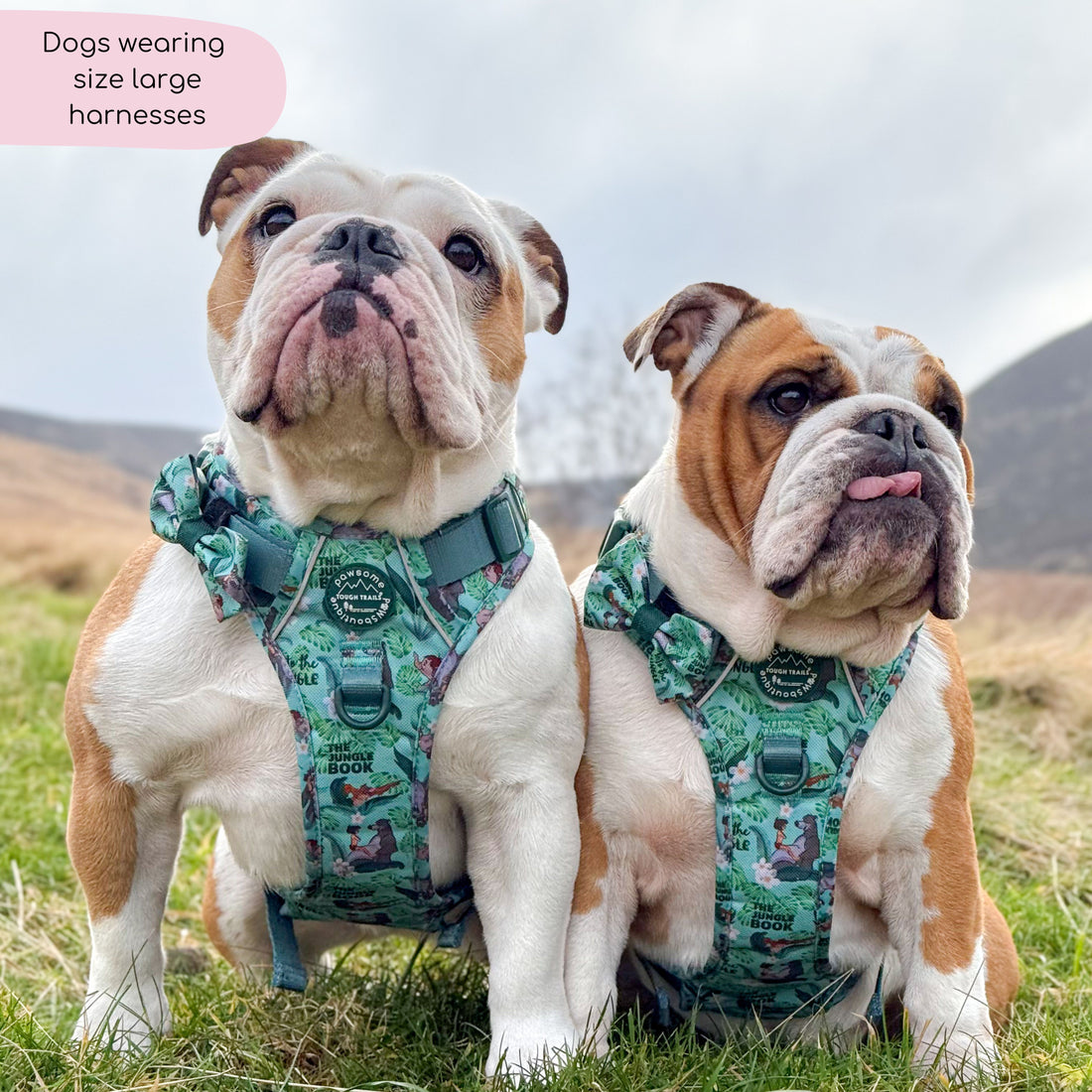 Disney© Tough Trails™ Harness - Jungle Book