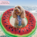 Disney© Tough Trails™ Harness - Stitch's Fruit Fiesta