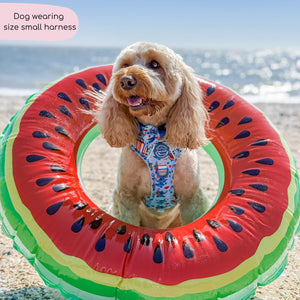 Disney© Tough Trails™ Harness - Stitch's Fruit Fiesta