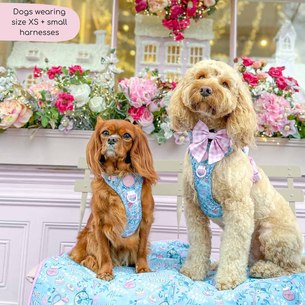 Disney© Tough Trails™ Harness - Mad Hatters Tea Party