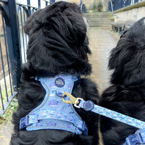 Disney© Lead - Eeyore