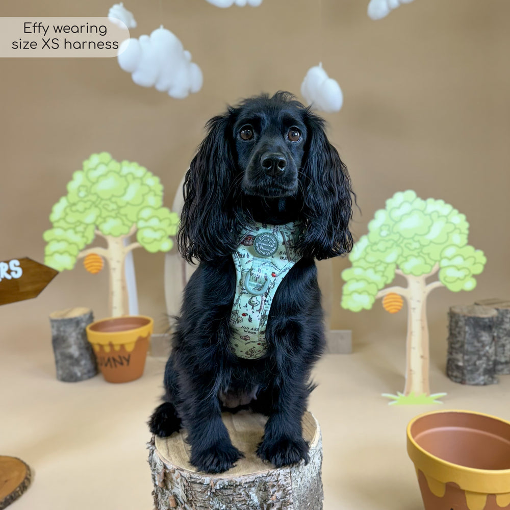 Disney© Tough Trails™ Harness - 100 Aker Wood