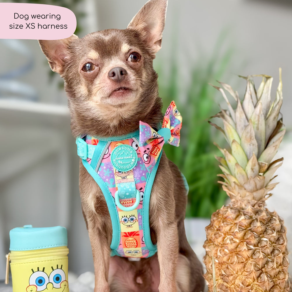 Tough Trails™ Harness - Spongebob