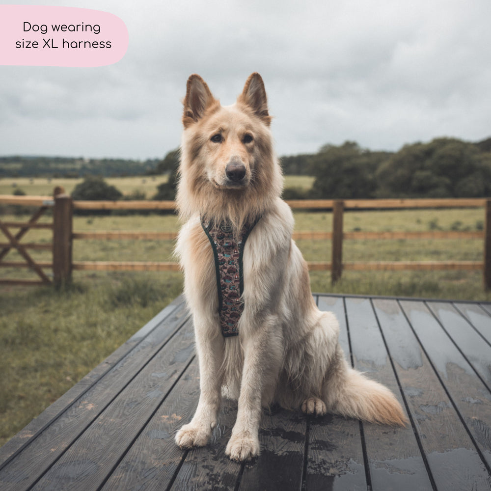 Tough Trails™ Harness -  Adventure Awaits