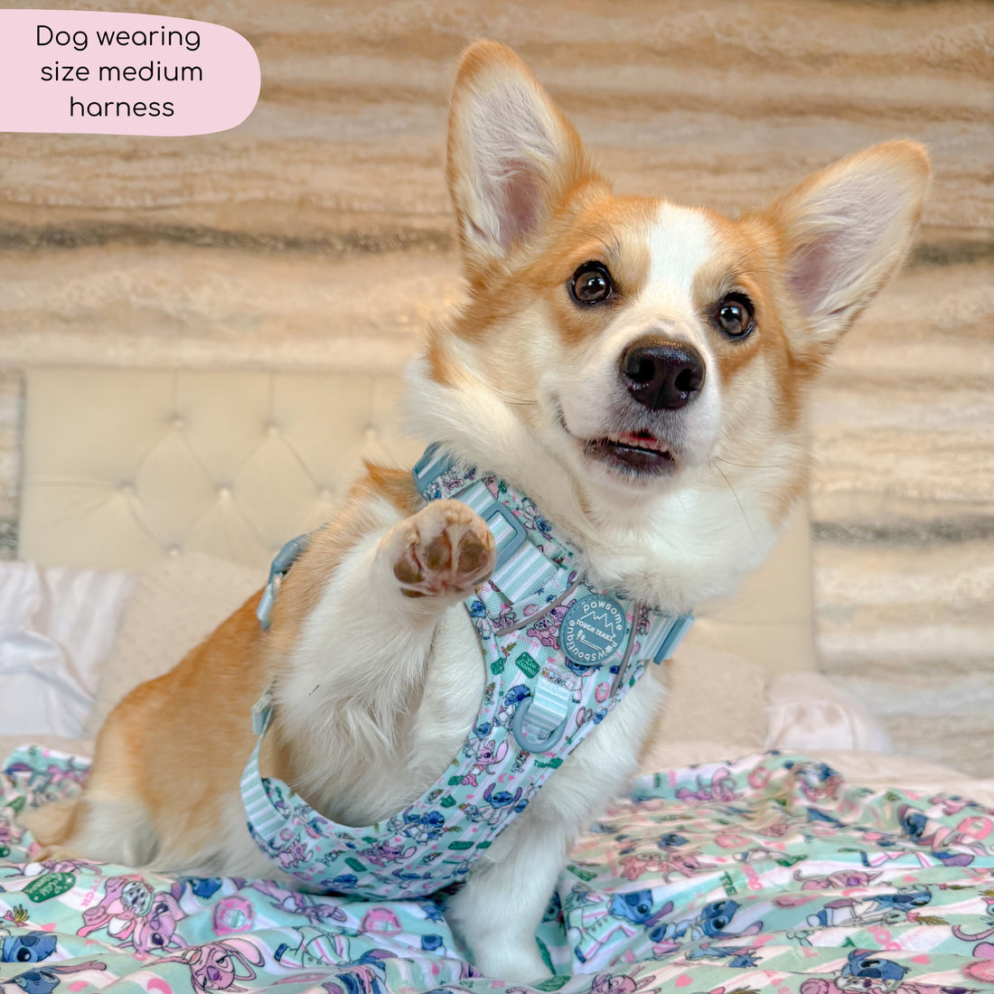 Disney© Tough Trails™ Harness - Stitch's Slumber Party