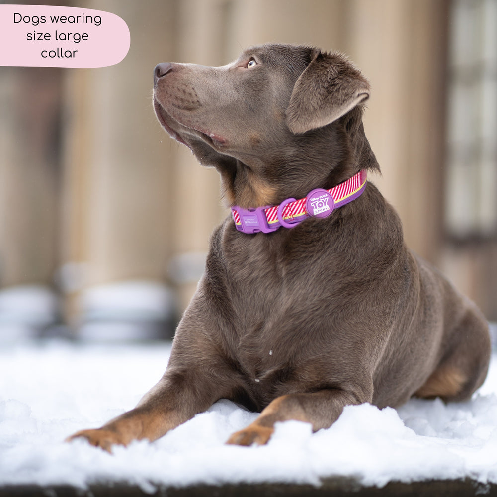 Disney© Collar - Buzz Lightyear