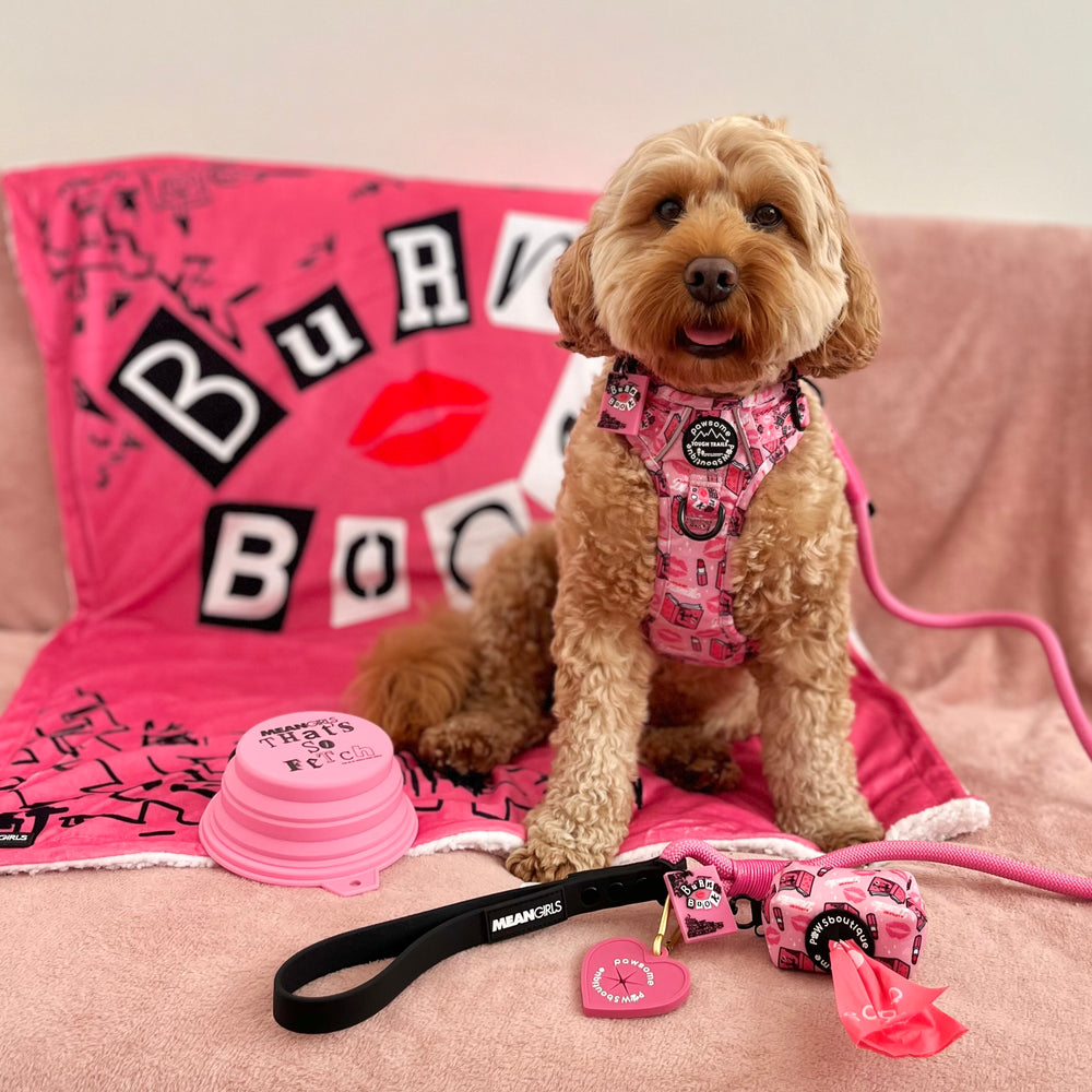 Poo Bag Holder - Mean Girls