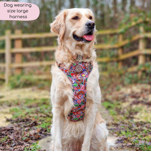 Disney© Tough Trails™ Harness - Toy Story Friends