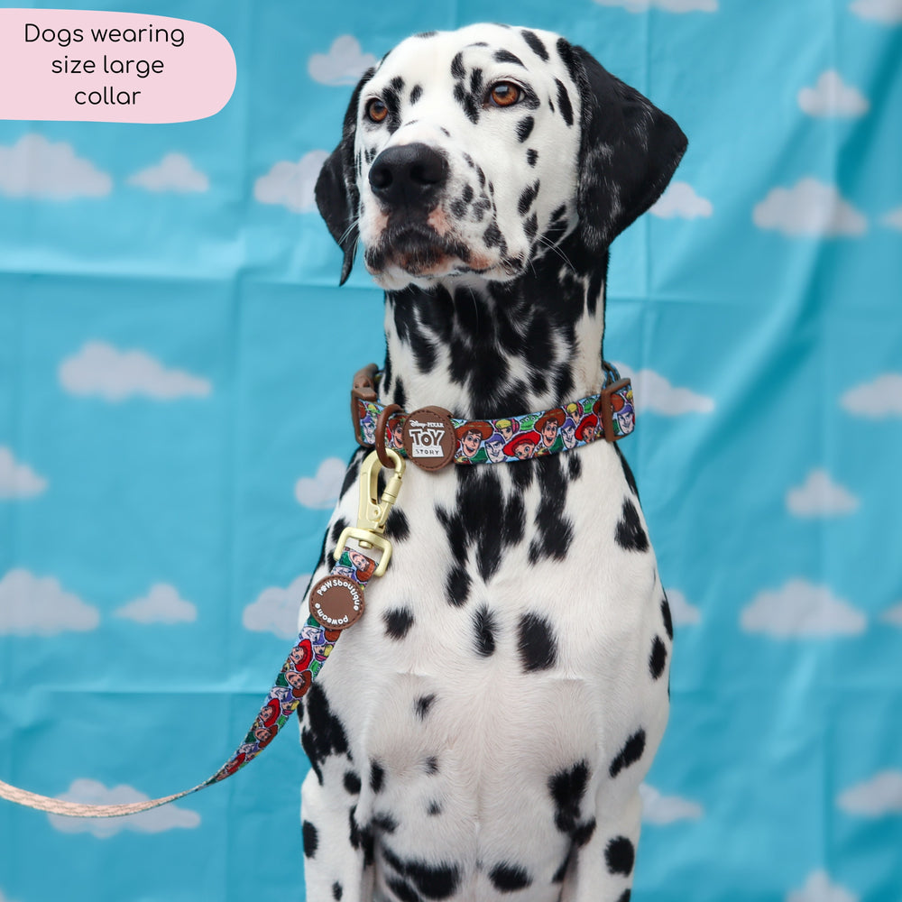 Disney© Collar - Toy Story Friends