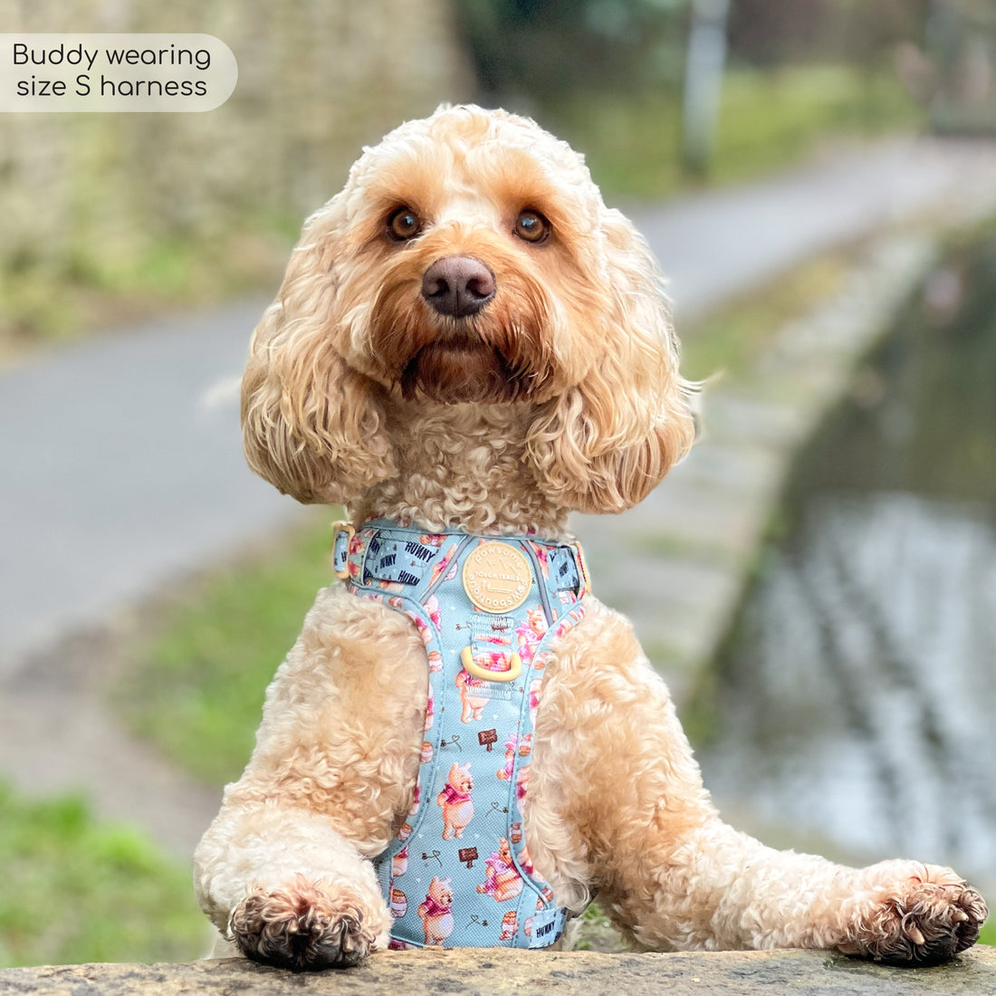 Disney© Tough Trails™ Harness - Winnie The Pooh