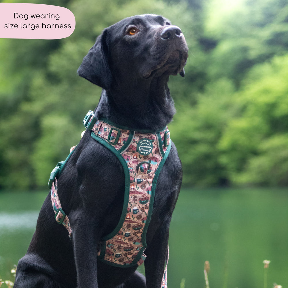 Tough Trails™ Harness -  Adventure Awaits