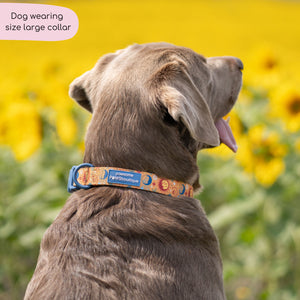 Collar - Celestial Spirit