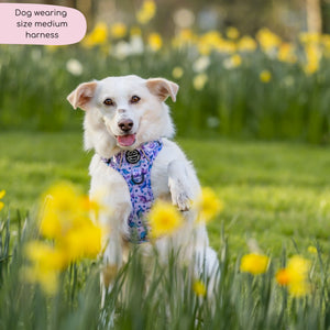 Tough Trails™ Harness - Tiny Diny