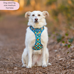 Tough Trails™ Harness -  Fruit Punch