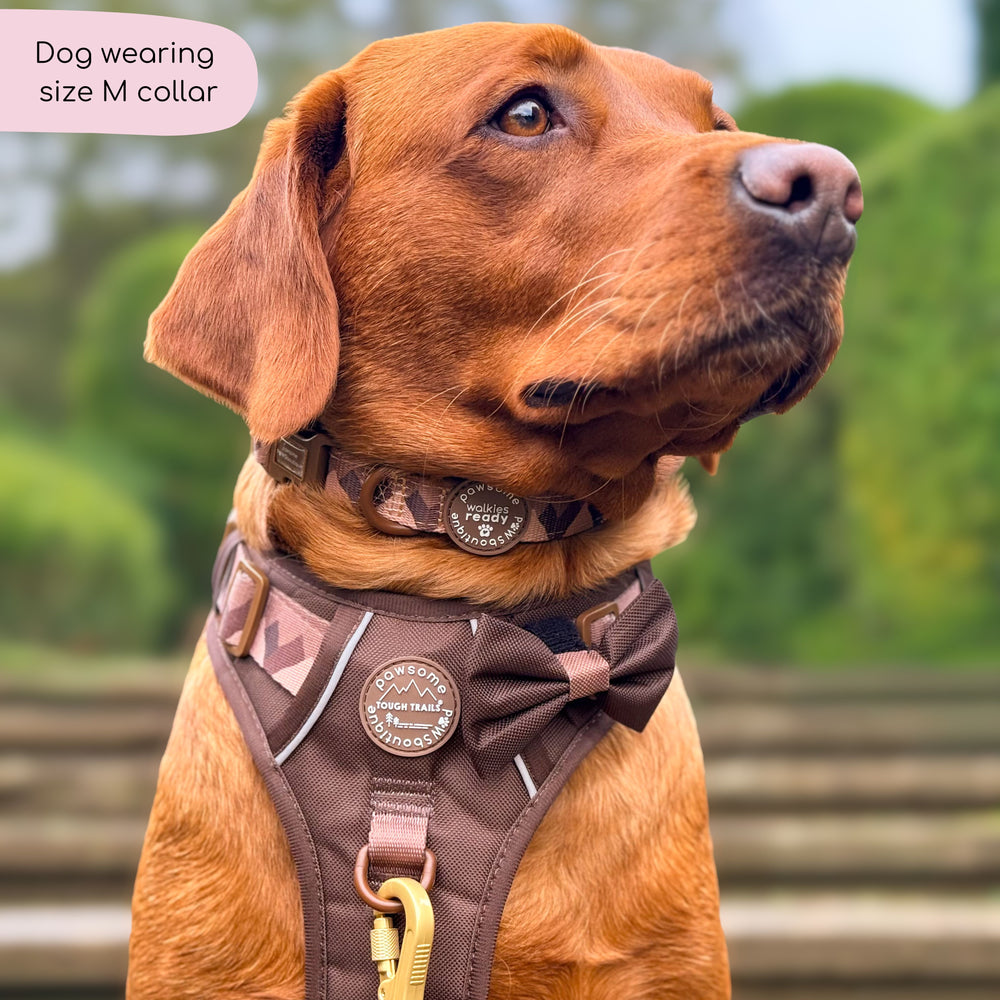 Collar – Walkies Ready® Chocolate Brown