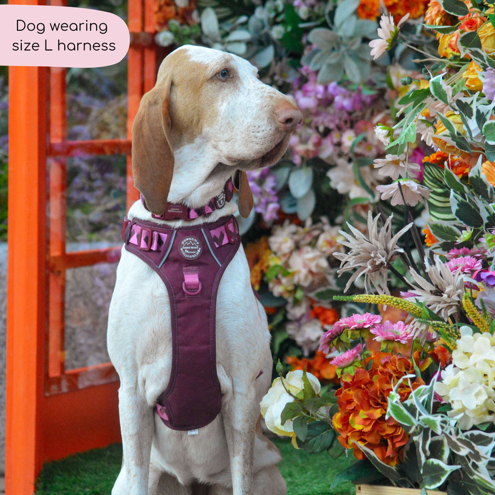 Tough Trails™ Harness - Walkies Ready® Mulberry