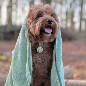 Disney© Microfibre Towel - 100 Aker Wood