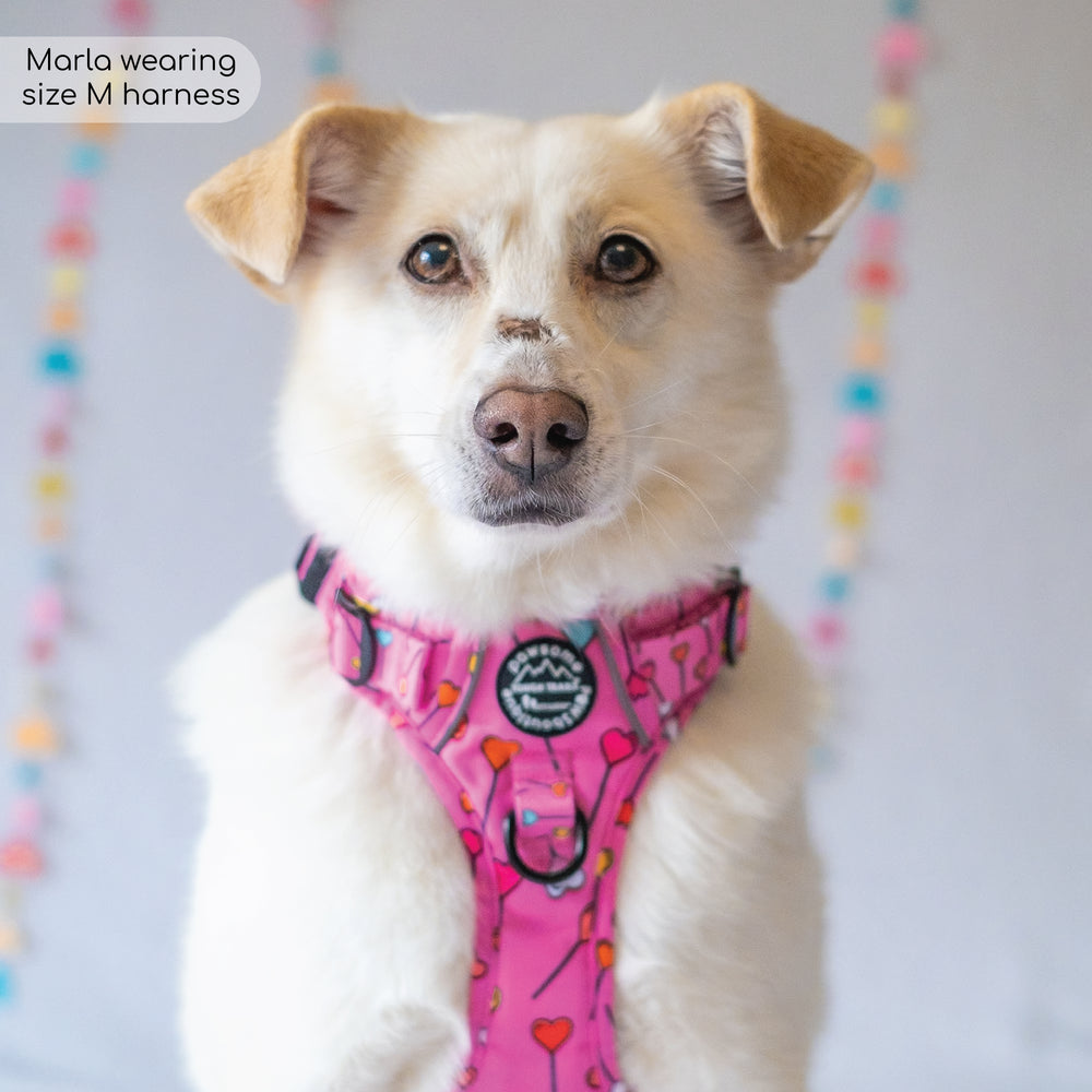 Tough Trails™ Harness - Candypop